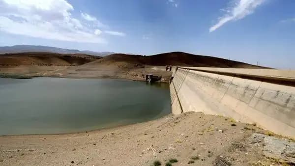 ترند