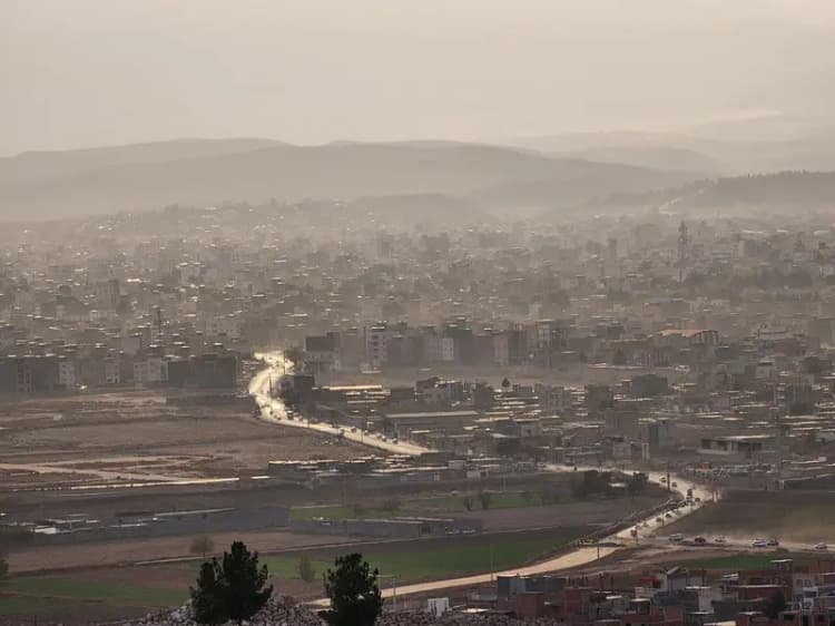 ترند