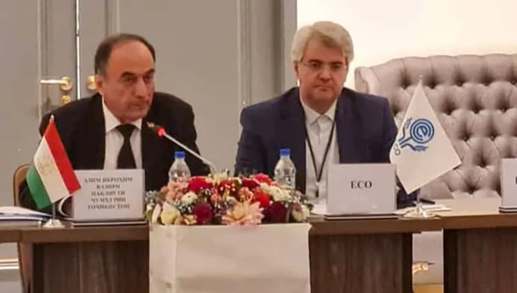 ماسل کار چهاردر معرفی شد/ تصاویر
