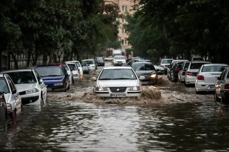 ترند
