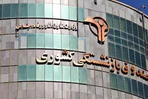 قیمت دام زنده امروز ۴ خرداد ۱۴۰۴‌/
