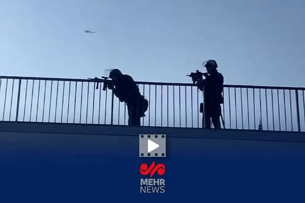 ستاره فیلم «سرگیجه» هیچکاک از جشنواره ونیز شیر طلایی افتخاری می‌گیرد