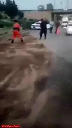 ترند