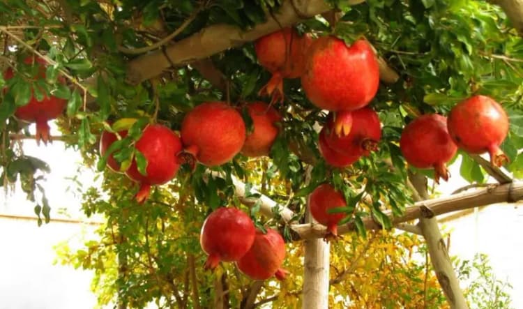 نقش فضای مجازی در ترویج ارزش‌های اسلامی بسیار کلیدی است