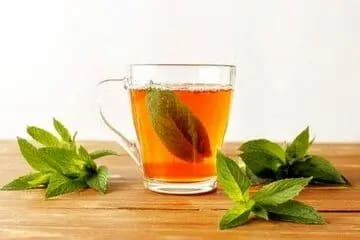 توله خرس کلینیک حیات وحش پردیسان ناپدید شد