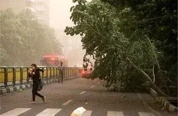 ترند