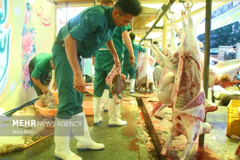 ۳۳۰۰ کیلوگرم گوشت قربانی در میاندرود توزیع شد