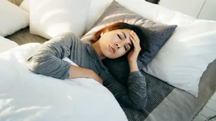 نجات سگ گمشده پس از ۵۴۹ روز/ عکس