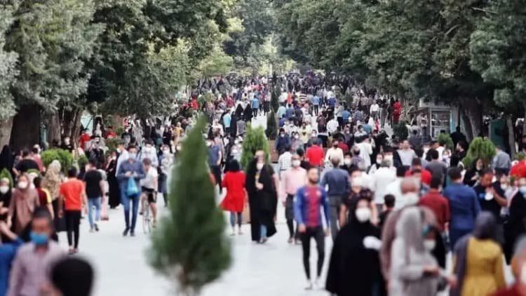 ترند
