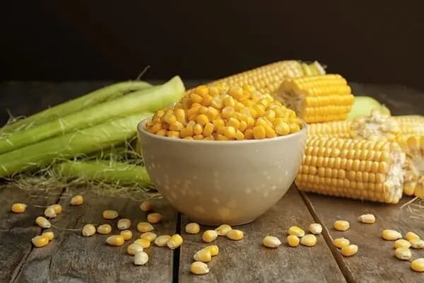 طرز تهیه دلمه برگ مو؛ محبوب‌ترین غذای فصل بهار