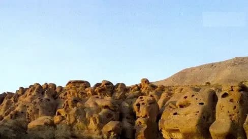 ترند