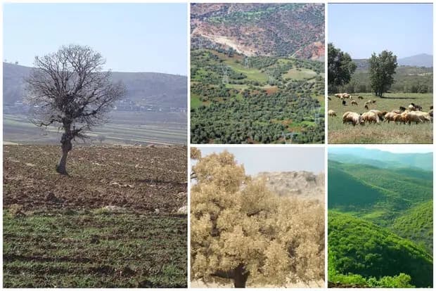 برگزاری مانور «لحظه صفر» در خلیل‌آباد