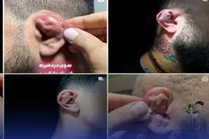 فیلم/ اتوبوس‌های برقی تهران به بندر شهید رجایی رسید