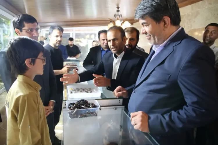 جزئیات جدید از دستگیری ۳ کارمند و مدیر شهرداری ازنا