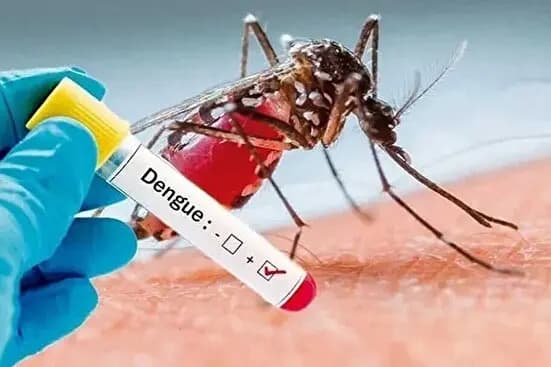 لزوم بررسی وضعیت روانشناختی رانندگان تاکسی‌های اینترنتی