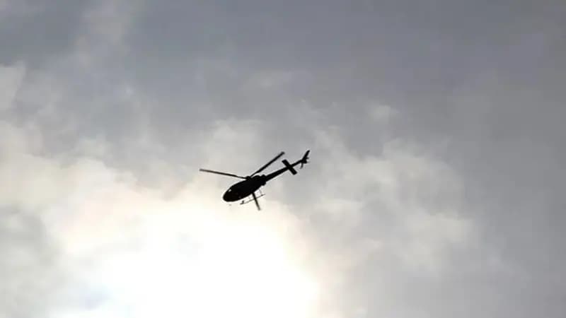 ترند