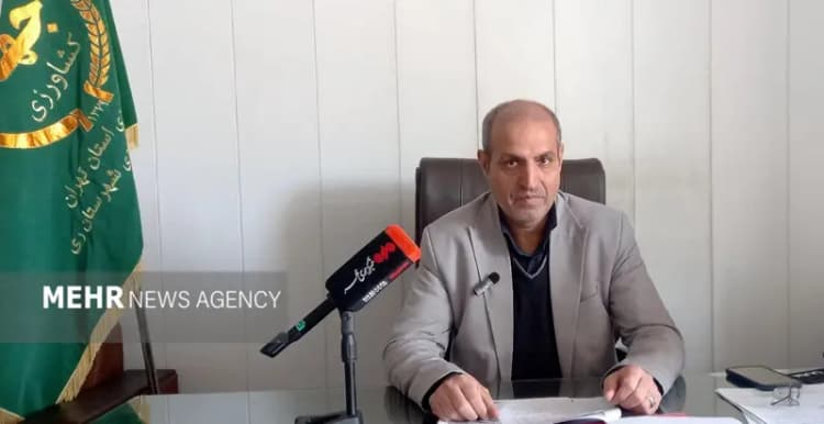 قیمت سکه و طلا امروز یکشنبه ۱۸ خرداد ۱۴۰۴