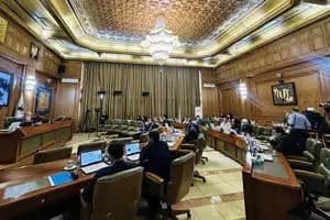 تذکر نرجس سلیمانی در صحن شورای شهر تهران: زاکانی از وعده‌های خود شکست خورد