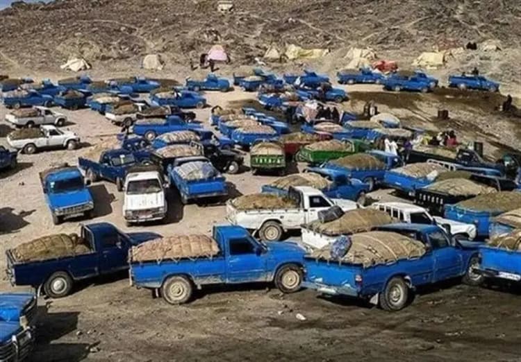 ترند