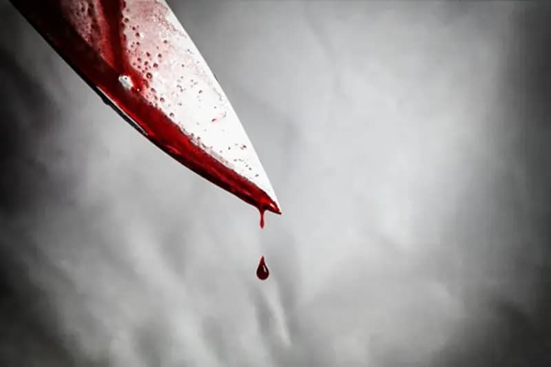 جسد الهه حسین‌نژاد در کدام منطقه تهران پیدا شد؟