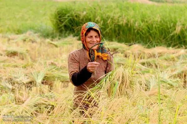 12 سلفی بامزه با حیوانات که شما را می‌خنداند