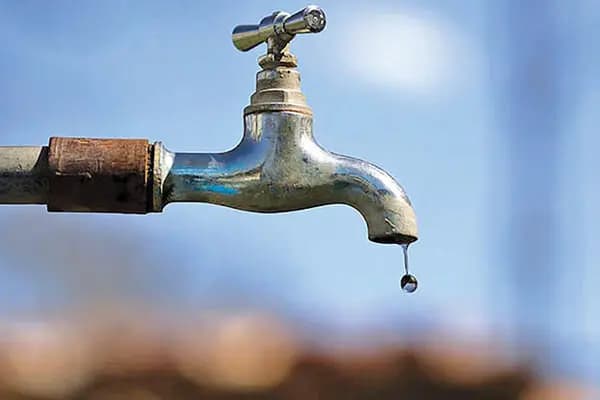 سالانه ۱۱۰ میلیون گل شاخه بریده در خمین تولید می شود