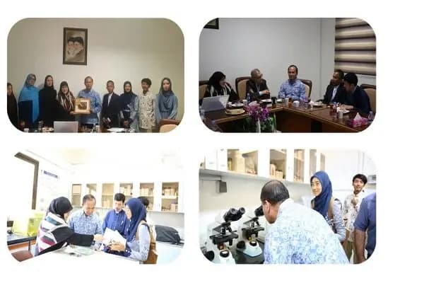 واکنش نرگس آبیار به توقیف «سووشون» و مسدود شدن نماوا/در برابر این حذف بی‌رحمانه سکوت نخواهیم کرد