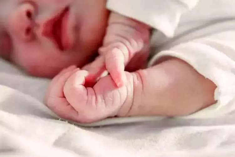 فوت یکی دیگر از مجروحان حادثه تیراندازی تویسرکان