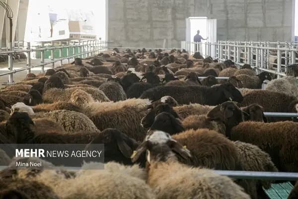 ادعای تلویزیون: ترامپ بالاخره مقابل ایران کوتاه آمد