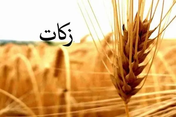 ترند