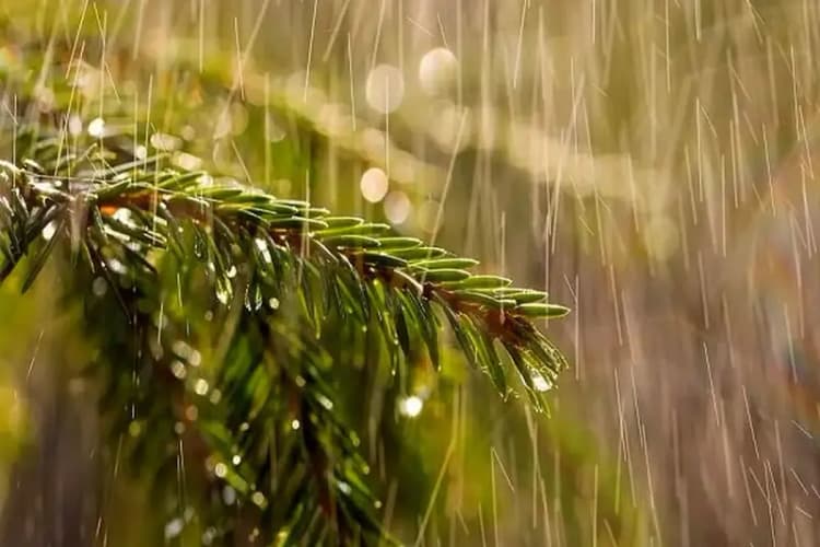 پزشکی در نگاه امام خمینی ترکیبی از علم، ایمان و مسئولیت اجتماعی است