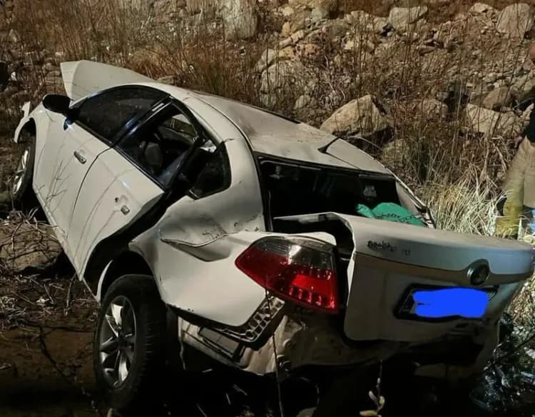فعالیت ۱۵ مرکز عرضه دام بهداشتی در تهران برای عید قربان