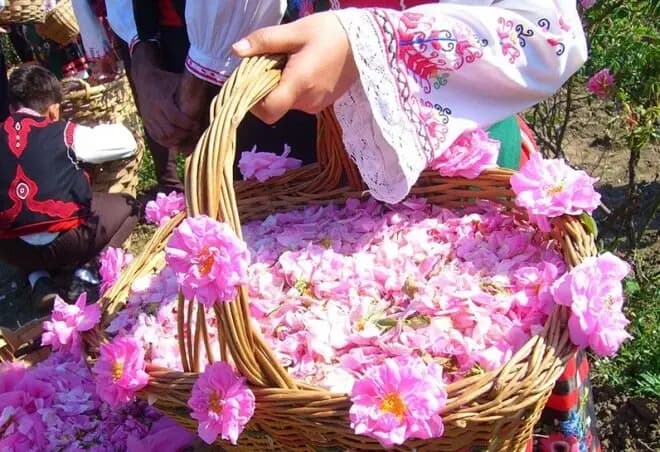 تکمیل طرح‌های صنعتی قزوین نیازمند ۱۰۰همت اعتبار است