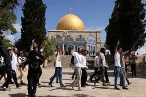 ترند