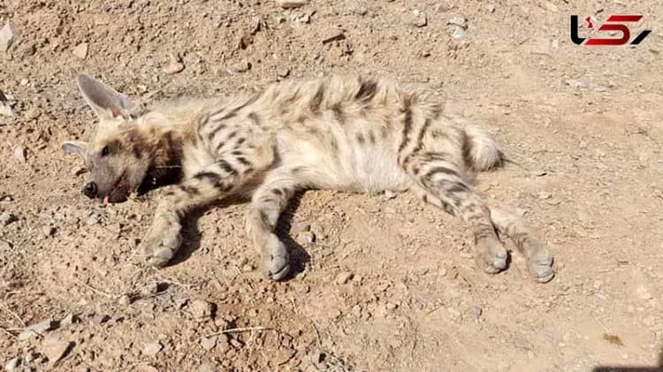 پایان بی‌نظمی در واگذاری فضاهای شهری
