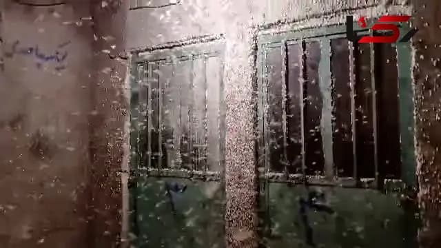 ترند