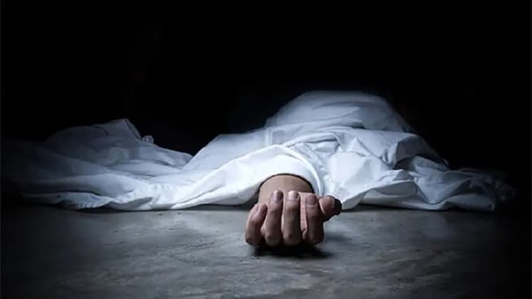 سگ گردانی در جنوب تهران هم ممنوع شد