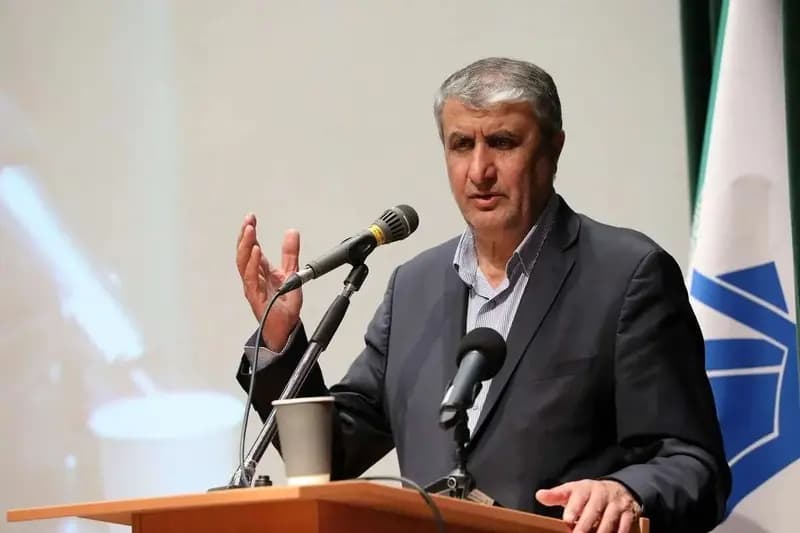 اسلامی، رئیس سازمان انرژی اتمی: برنامه افزایش سه برابری ظرفیت نیروگاه‌های اتمی آغاز شده