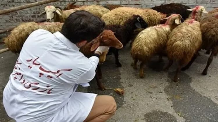 گردهمایی اندیشمندان 16 کشور در مشهد با محوریت تربیت رضوی