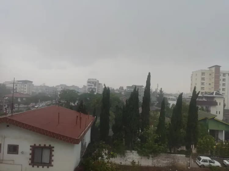 حضور پلنگ در ۱۰ متری محیط بان دماوندی