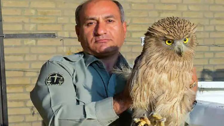 علت آتش سوزی پارک ملی گلستان سهل انگاری مسافران اعلام شد

