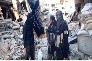 سرکرده القاعده در یمن ترامپ و ماسک را تهدید کرد