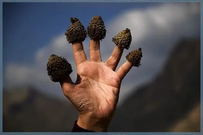 بحران به یک‌قدمی آموزش و پرورش رسید