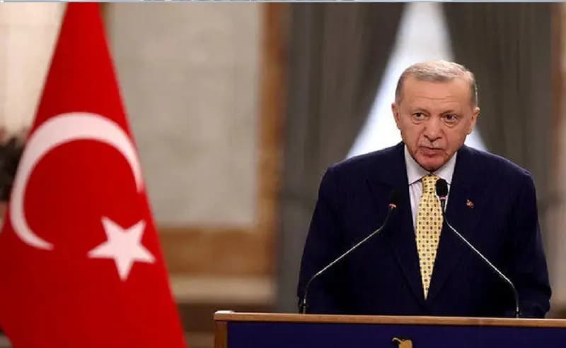 درخواست اردوغان از ایران/ انتظار داریم از کریدور زنگه‌زور حمایت کنید