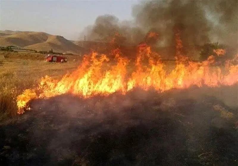 ترند