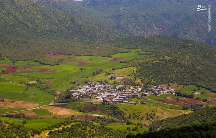 ترند