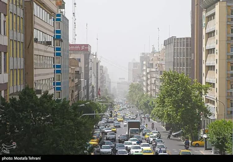 ترند