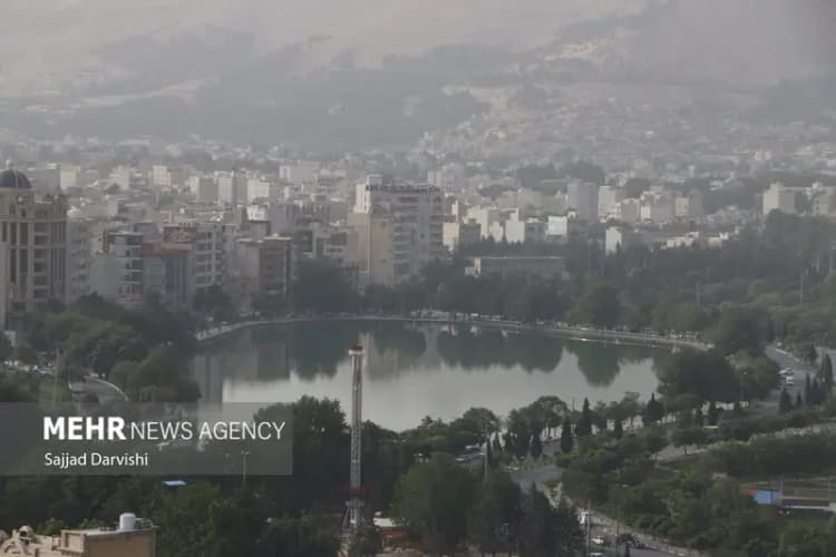 ترند