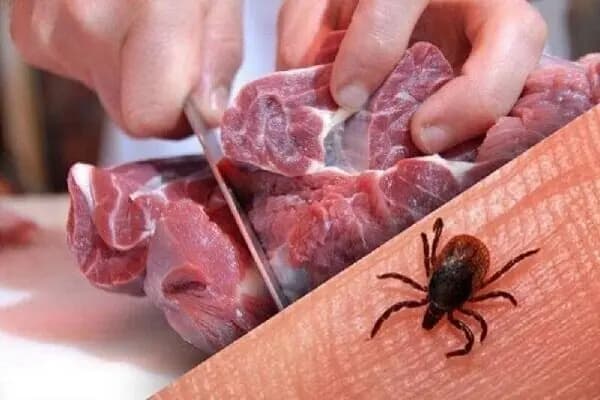 جزئیات جدید از دستگیری ۳ کارمند و مدیر شهرداری ازنا