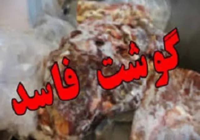 کشف ۲ تُن گوشت فاسد از انبار یک کارخانه متروکه در کازرون
